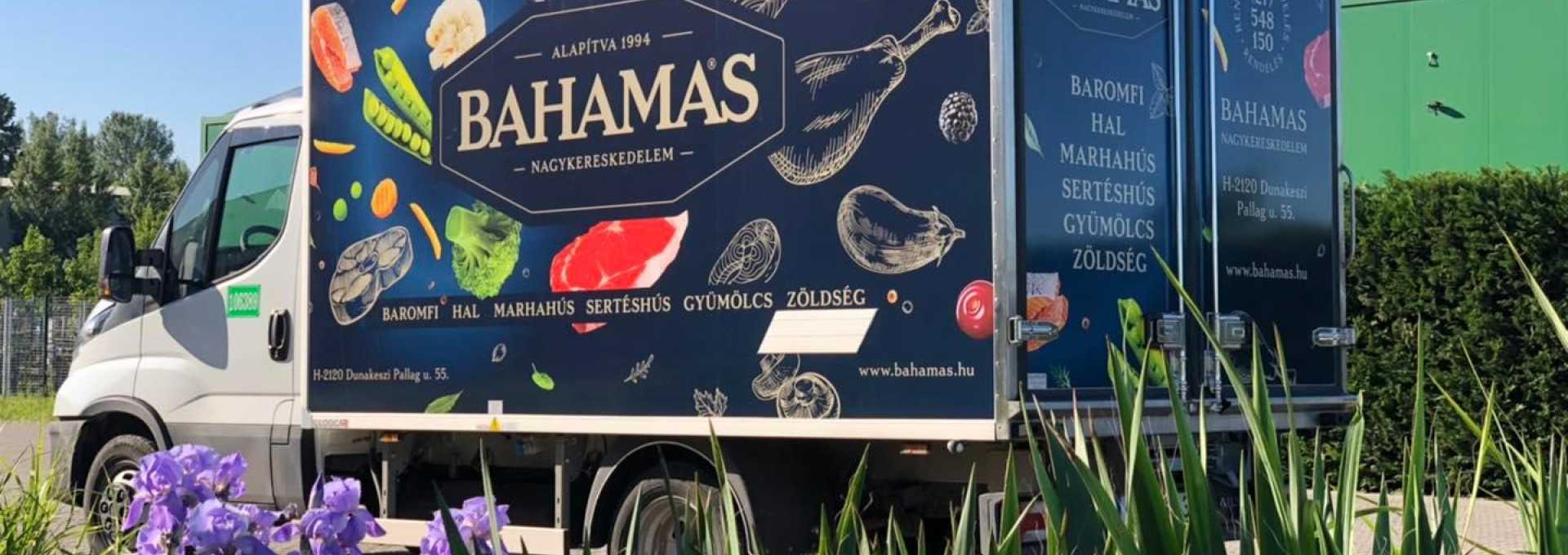 Why BAHAMAS?
