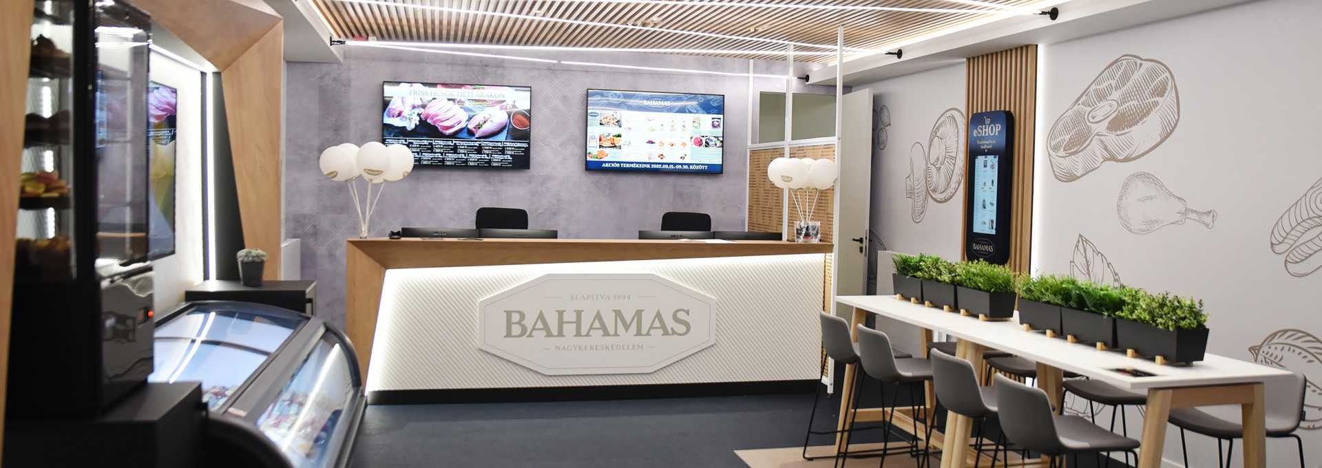 Our services
